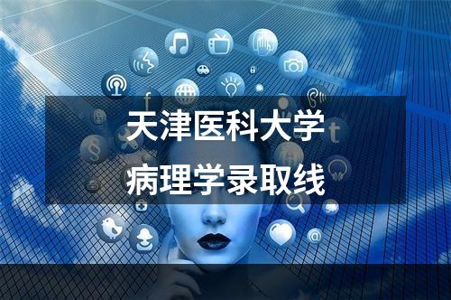 天津医科大学病理学录取线