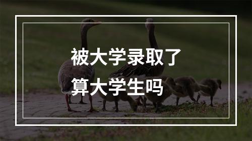 被大学录取了算大学生吗