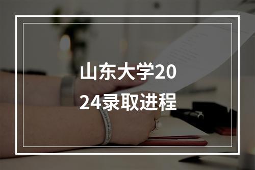 山东大学2024录取进程