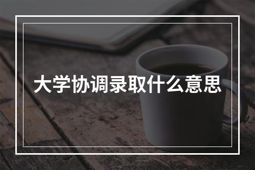 大学协调录取什么意思