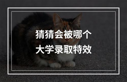 猜猜会被哪个大学录取特效