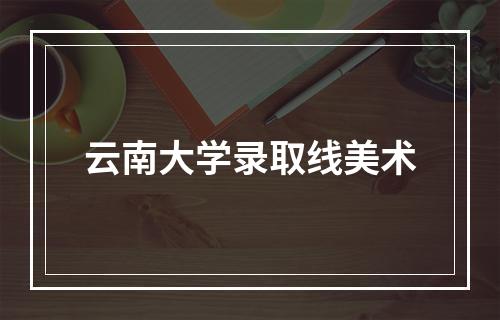 云南大学录取线美术