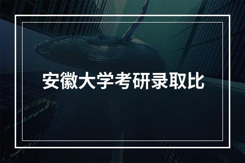 安徽大学考研录取比