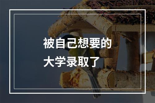 被自己想要的大学录取了