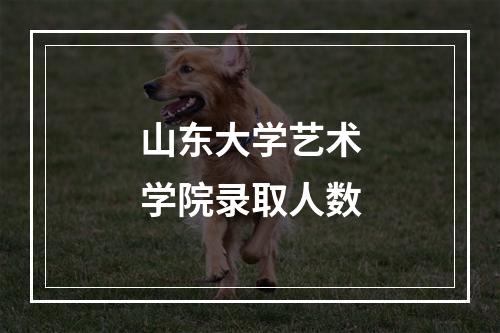 山东大学艺术学院录取人数