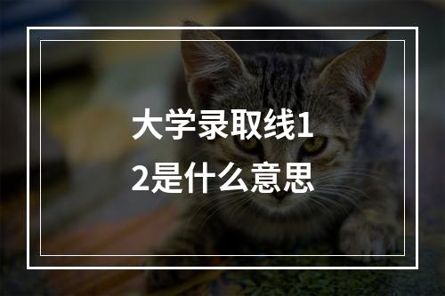 大学录取线12是什么意思