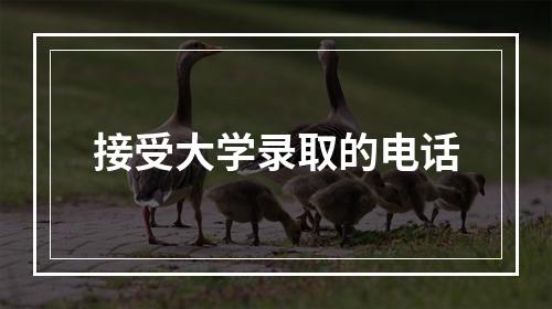 接受大学录取的电话