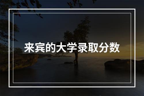 来宾的大学录取分数