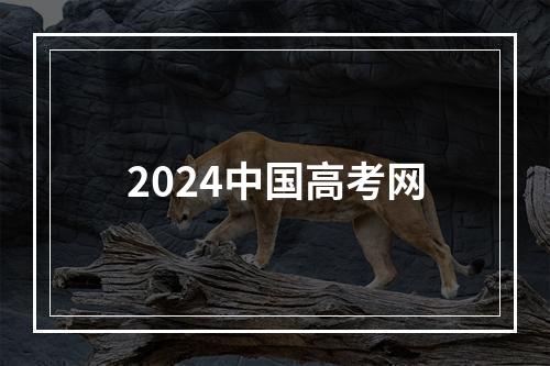 2024中国高考网