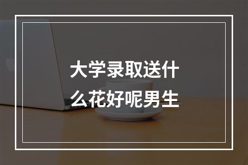 大学录取送什么花好呢男生