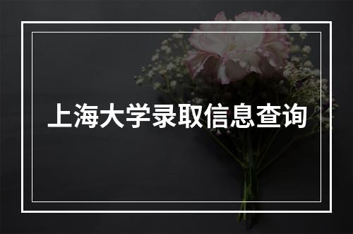 上海大学录取信息查询