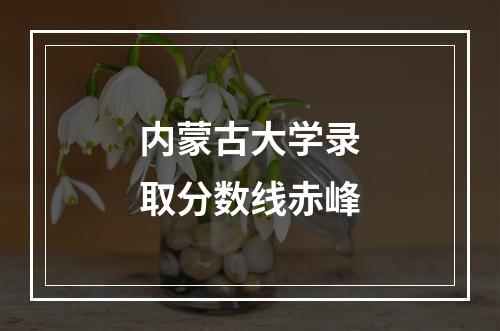 内蒙古大学录取分数线赤峰