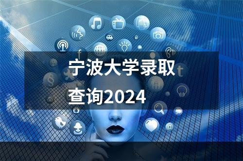 宁波大学录取查询2024