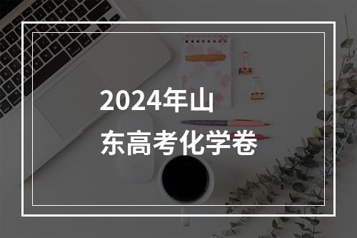 2024年山东高考化学卷