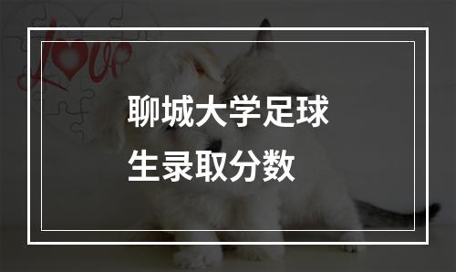 聊城大学足球生录取分数