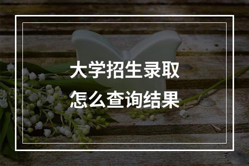 大学招生录取怎么查询结果