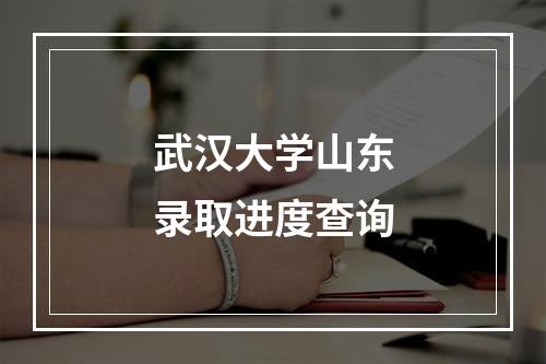 武汉大学山东录取进度查询