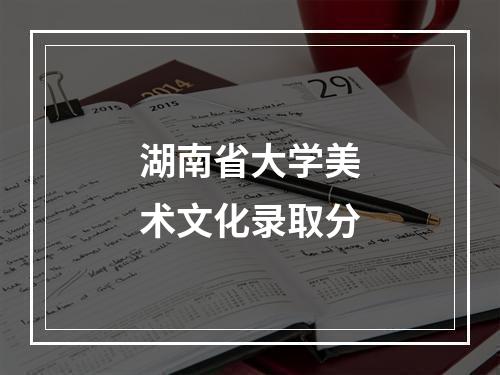 湖南省大学美术文化录取分