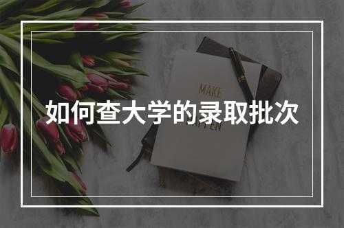 如何查大学的录取批次