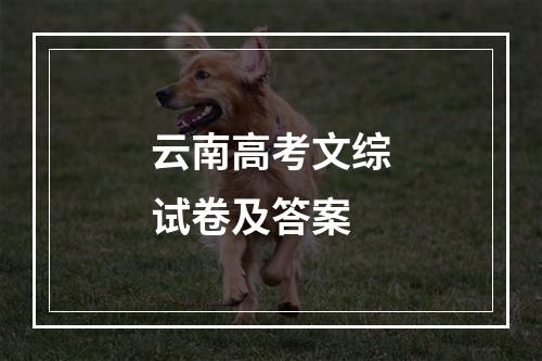 云南高考文综试卷及答案