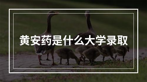 黄安药是什么大学录取