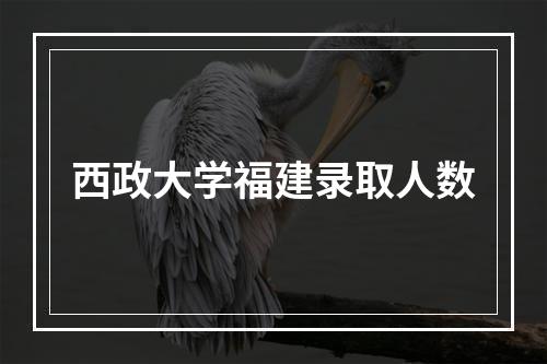 西政大学福建录取人数