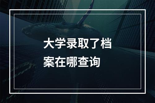 大学录取了档案在哪查询