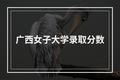 广西女子大学录取分数