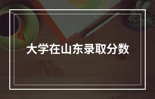 大学在山东录取分数