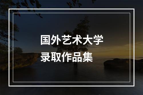 国外艺术大学录取作品集