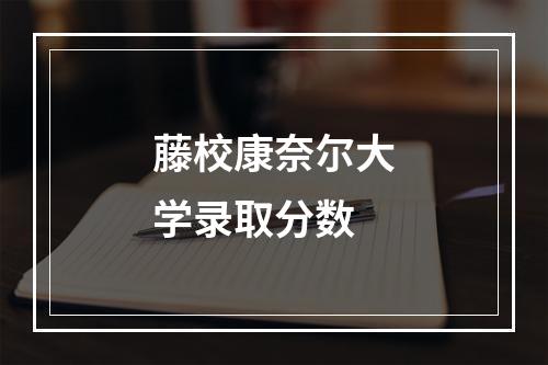 藤校康奈尔大学录取分数