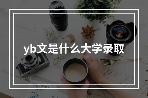 yb文是什么大学录取