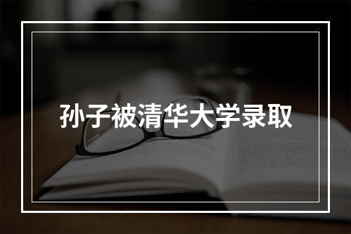 孙子被清华大学录取