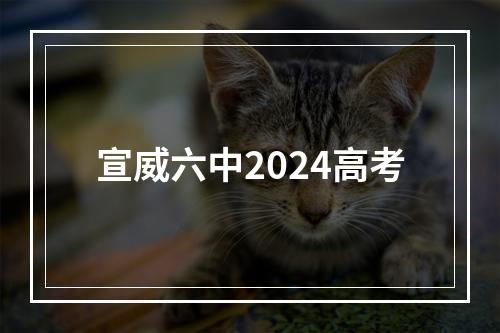 宣威六中2024高考