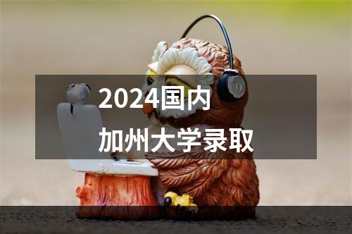 2024国内加州大学录取