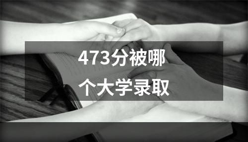 473分被哪个大学录取