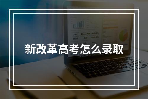 新改革高考怎么录取