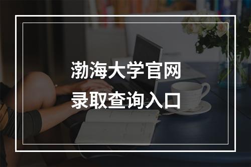 渤海大学官网录取查询入口