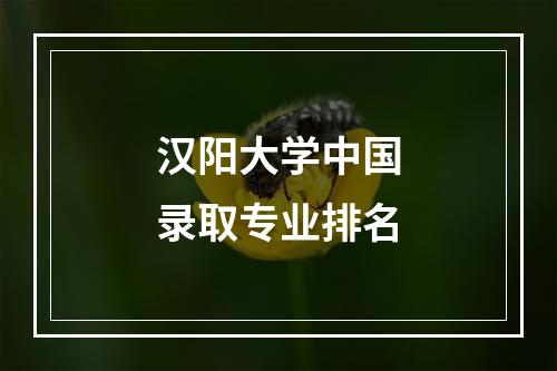 汉阳大学中国录取专业排名