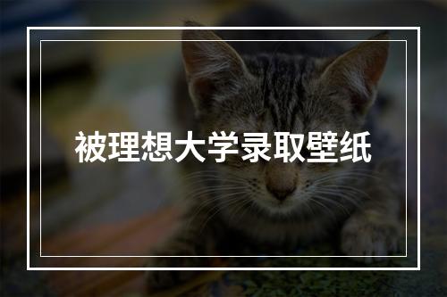 被理想大学录取壁纸