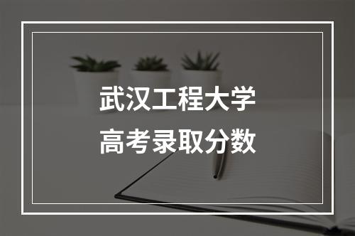 武汉工程大学高考录取分数