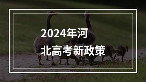 2024年河北高考新政策