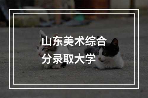 山东美术综合分录取大学