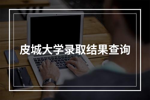 皮城大学录取结果查询