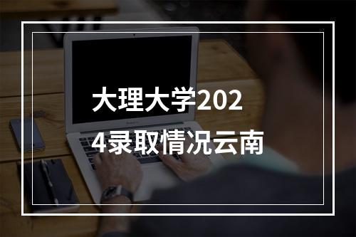 大理大学2024录取情况云南