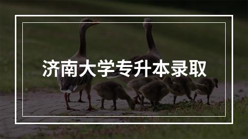 济南大学专升本录取