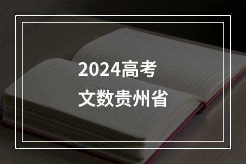 2024高考文数贵州省