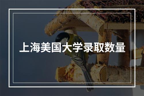 上海美国大学录取数量