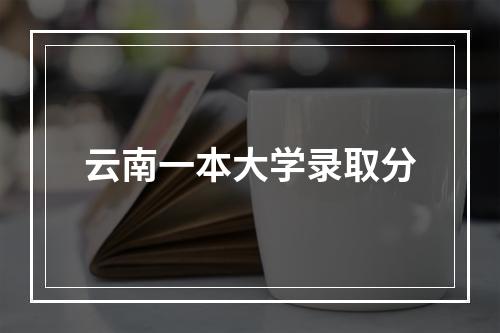 云南一本大学录取分