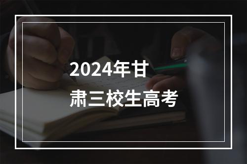 2024年甘肃三校生高考